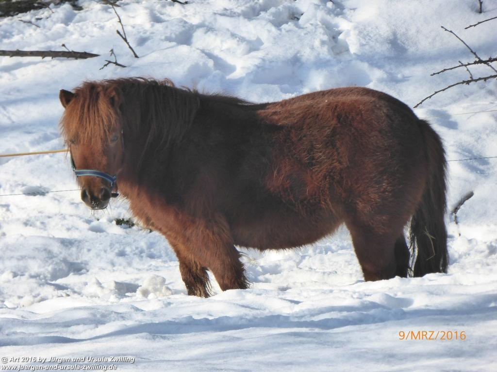 Philosophische Bildwanderung Rorschach -Staad - Landegg - Fünfländerblick - Rorschach - Appenzeller Land - Bodensee - Schweiz