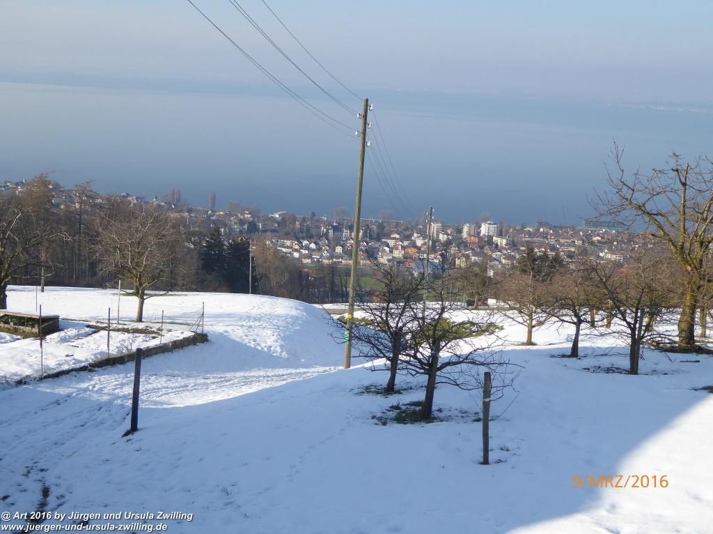 Philosophische Bildwanderung Rorschach -Staad - Landegg - Fünfländerblick - Rorschach - Appenzeller Land - Bodensee - Schweiz