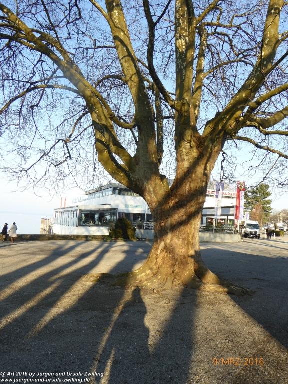 Philosophische Bildwanderung Rorschach -Staad - Landegg - Fünfländerblick - Rorschach - Appenzeller Land - Bodensee - Schweiz