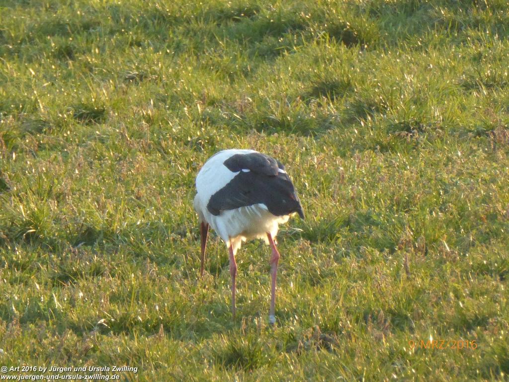 Philosophische Bildwanderung Rorschach -Staad - Landegg - Fünfländerblick - Rorschach - Appenzeller Land - Bodensee - Schweiz