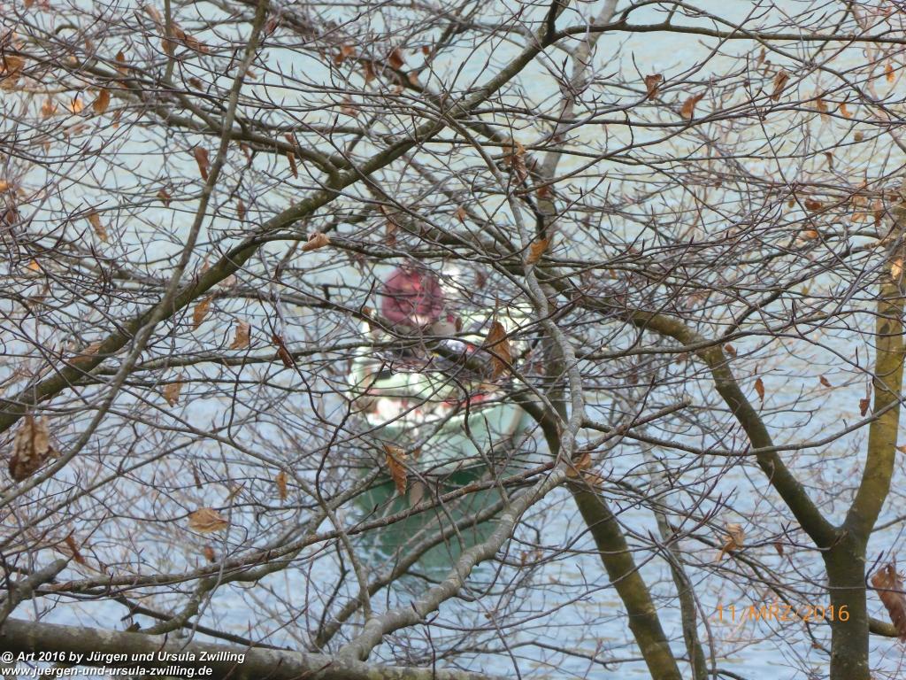 Philosophische Bildwanderung -Rheinau - Noll - Neuhausen am Rheinfall - Rheinfall - Rheinau - Bodensee - Schweiz