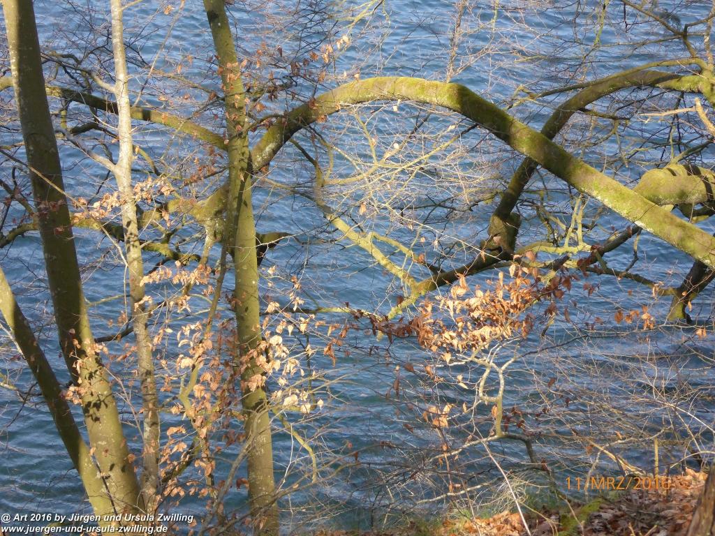 Philosophische Bildwanderung -Rheinau - Noll - Neuhausen am Rheinfall - Rheinfall - Rheinau - Bodensee - Schweiz