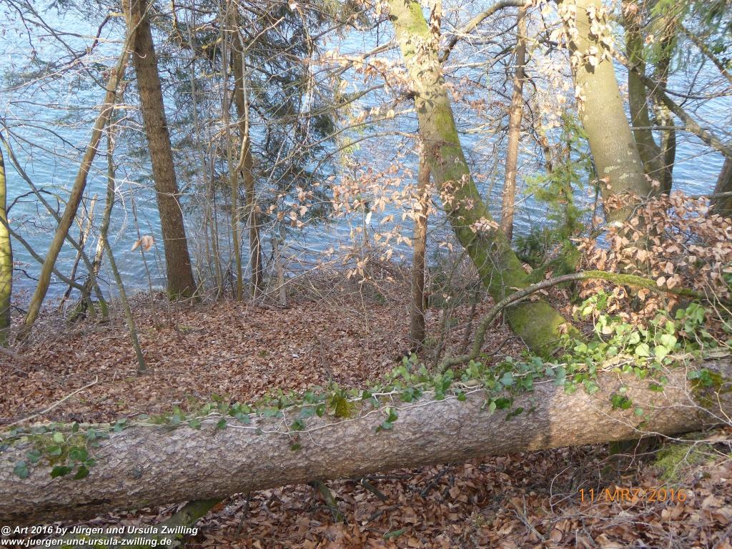 Philosophische Bildwanderung -Rheinau - Noll - Neuhausen am Rheinfall - Rheinfall - Rheinau - Bodensee - Schweiz