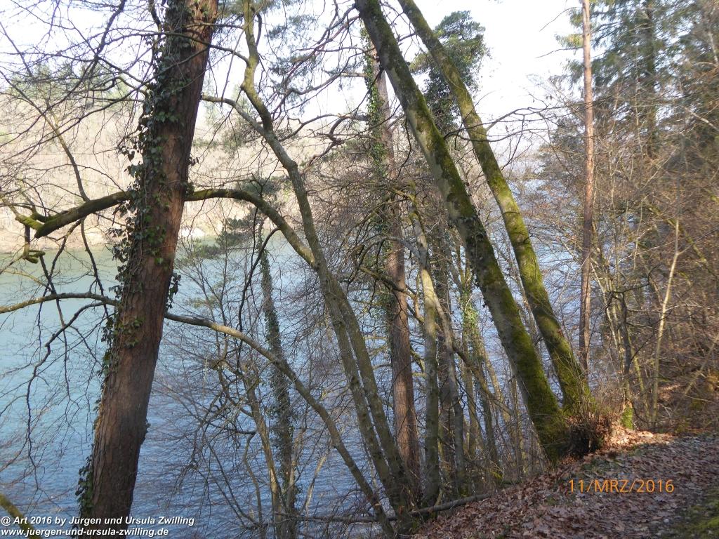 Philosophische Bildwanderung -Rheinau - Noll - Neuhausen am Rheinfall - Rheinfall - Rheinau - Bodensee - Schweiz