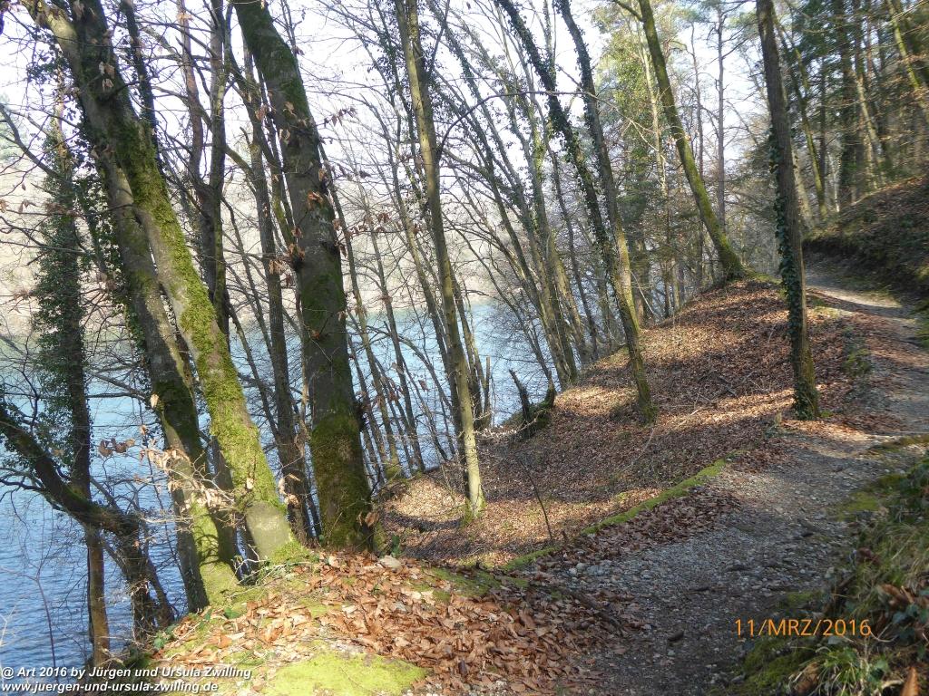 Philosophische Bildwanderung -Rheinau - Noll - Neuhausen am Rheinfall - Rheinfall - Rheinau - Bodensee - Schweiz