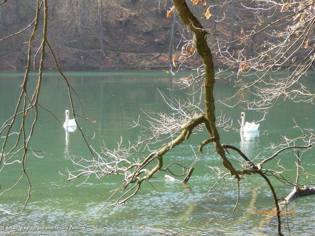 Philosophische Bildwanderung -Rheinau - Noll - Neuhausen am Rheinfall - Rheinfall - Rheinau - Bodensee - Schweiz
