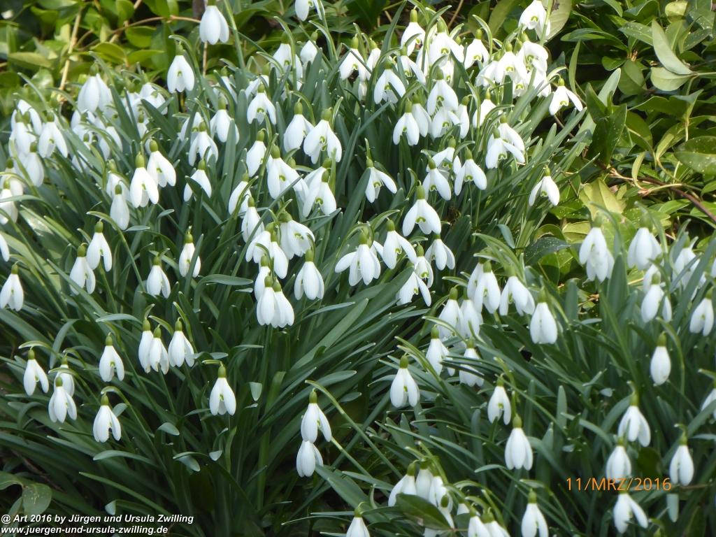 Philosophische Bildwanderung -Rheinau - Noll - Neuhausen am Rheinfall - Rheinfall - Rheinau - Bodensee - Schweiz