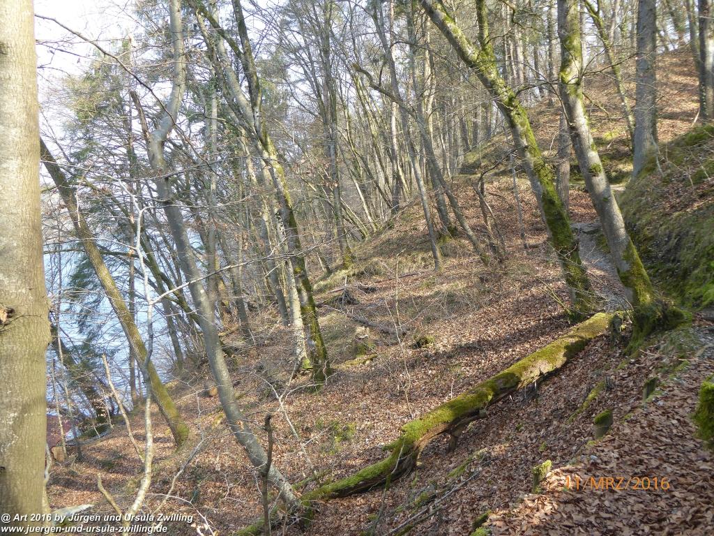 Philosophische Bildwanderung -Rheinau - Noll - Neuhausen am Rheinfall - Rheinfall - Rheinau - Bodensee - Schweiz