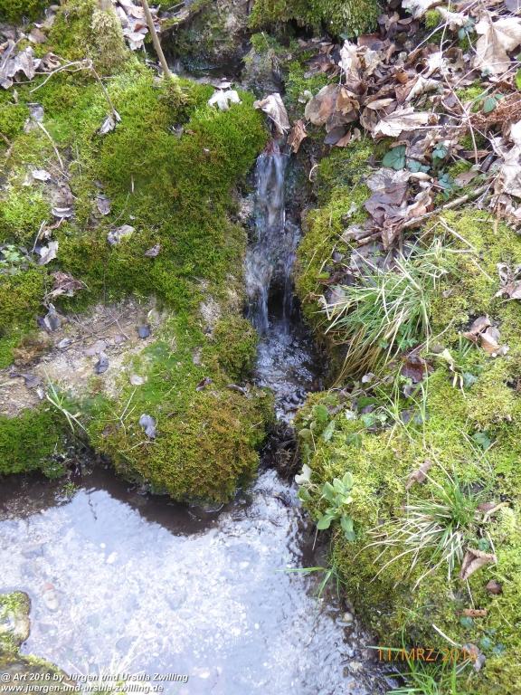 Philosophische Bildwanderung -Rheinau - Noll - Neuhausen am Rheinfall - Rheinfall - Rheinau - Bodensee - Schweiz