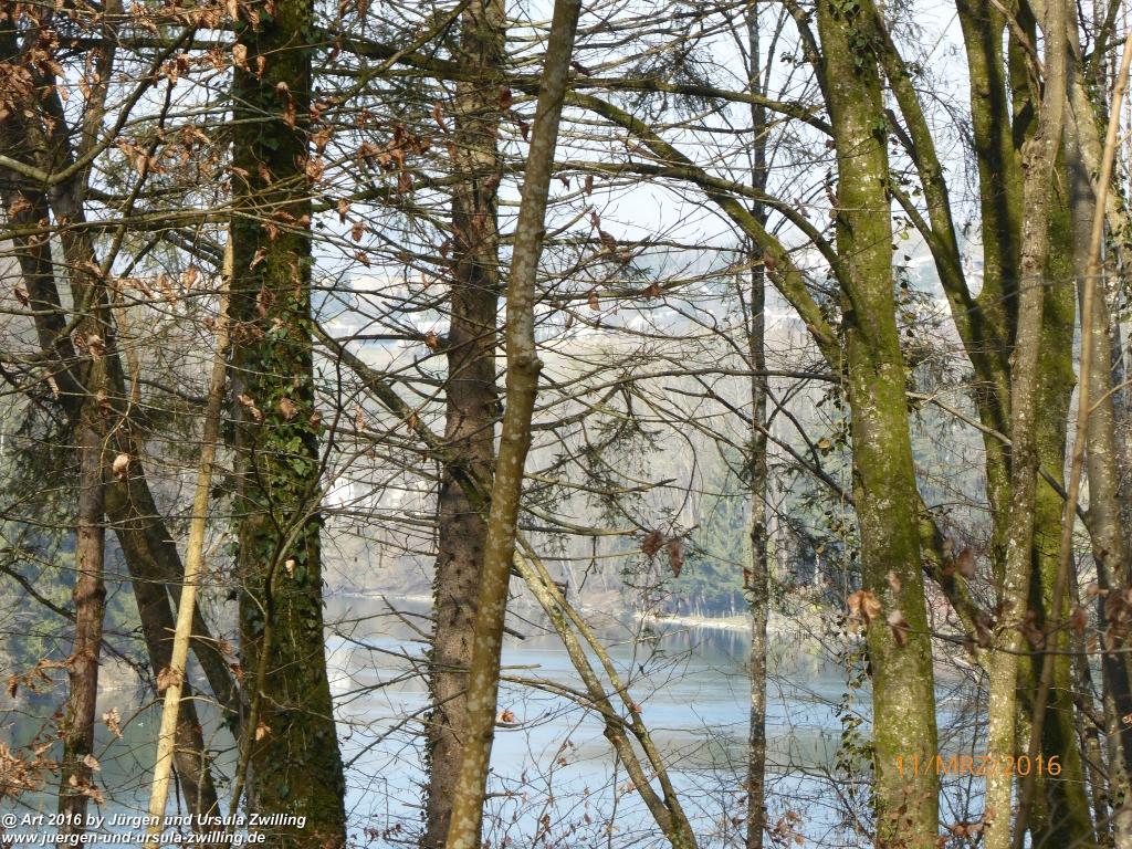 Philosophische Bildwanderung -Rheinau - Noll - Neuhausen am Rheinfall - Rheinfall - Rheinau - Bodensee - Schweiz