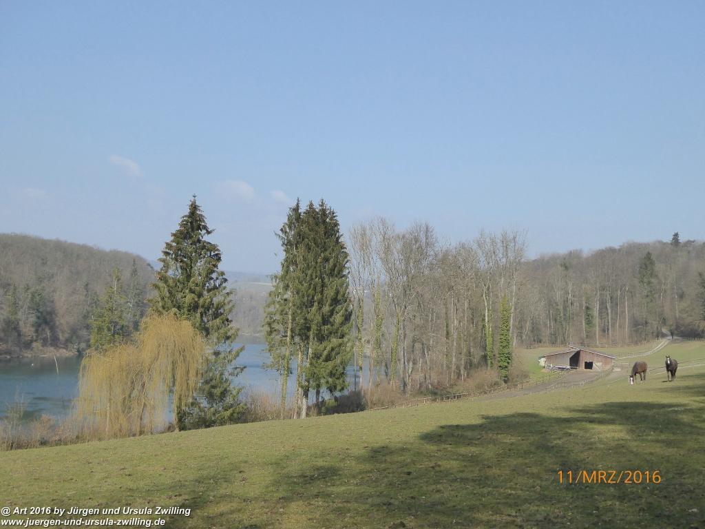 Philosophische  Bildwanderung  -Rheinau - Noll - Neuhausen am Rheinfall - Rheinfall - Rheinau - Bodensee - Schweiz