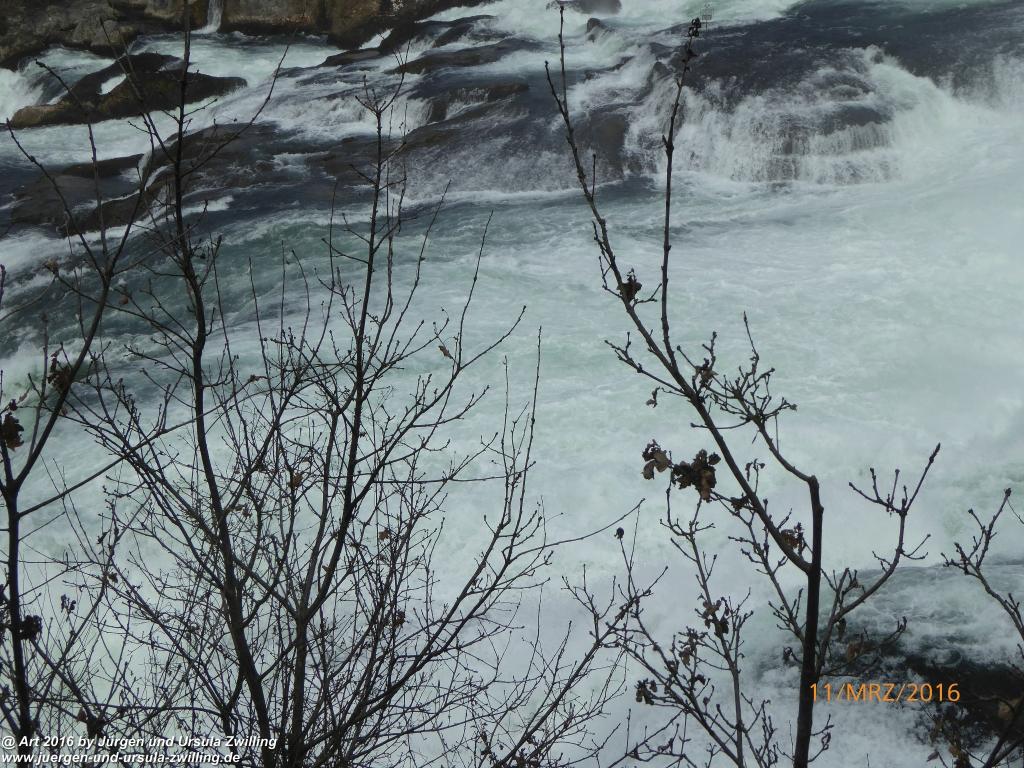 Philosophische Bildwanderung -Rheinau - Noll - Neuhausen am Rheinfall - Rheinfall - Rheinau - Bodensee - Schweiz