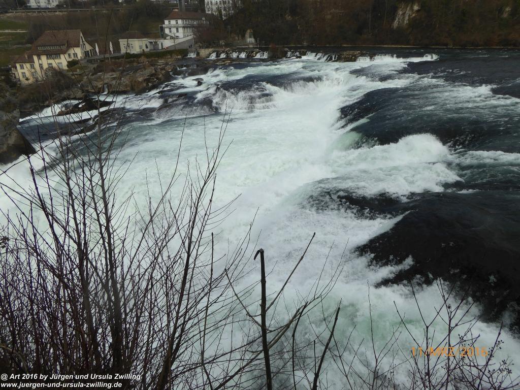 Philosophische Bildwanderung -Rheinau - Noll - Neuhausen am Rheinfall - Rheinfall - Rheinau - Bodensee - Schweiz