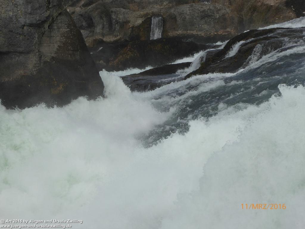 Philosophische Bildwanderung -Rheinau - Noll - Neuhausen am Rheinfall - Rheinfall - Rheinau - Bodensee - Schweiz