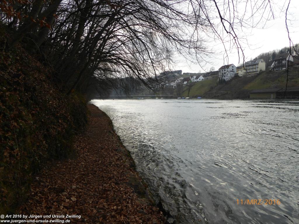 Philosophische  Bildwanderung  -Rheinau - Noll - Neuhausen am Rheinfall - Rheinfall - Rheinau - Bodensee - Schweiz