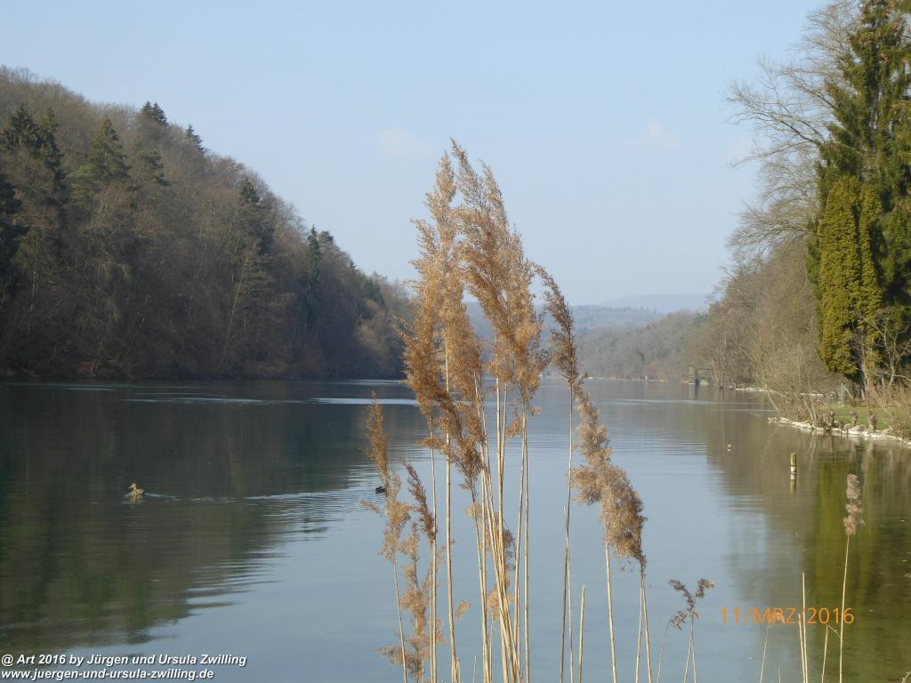 Philosophische  Bildwanderung  -Rheinau - Noll - Neuhausen am Rheinfall - Rheinfall - Rheinau - Bodensee - Schweiz