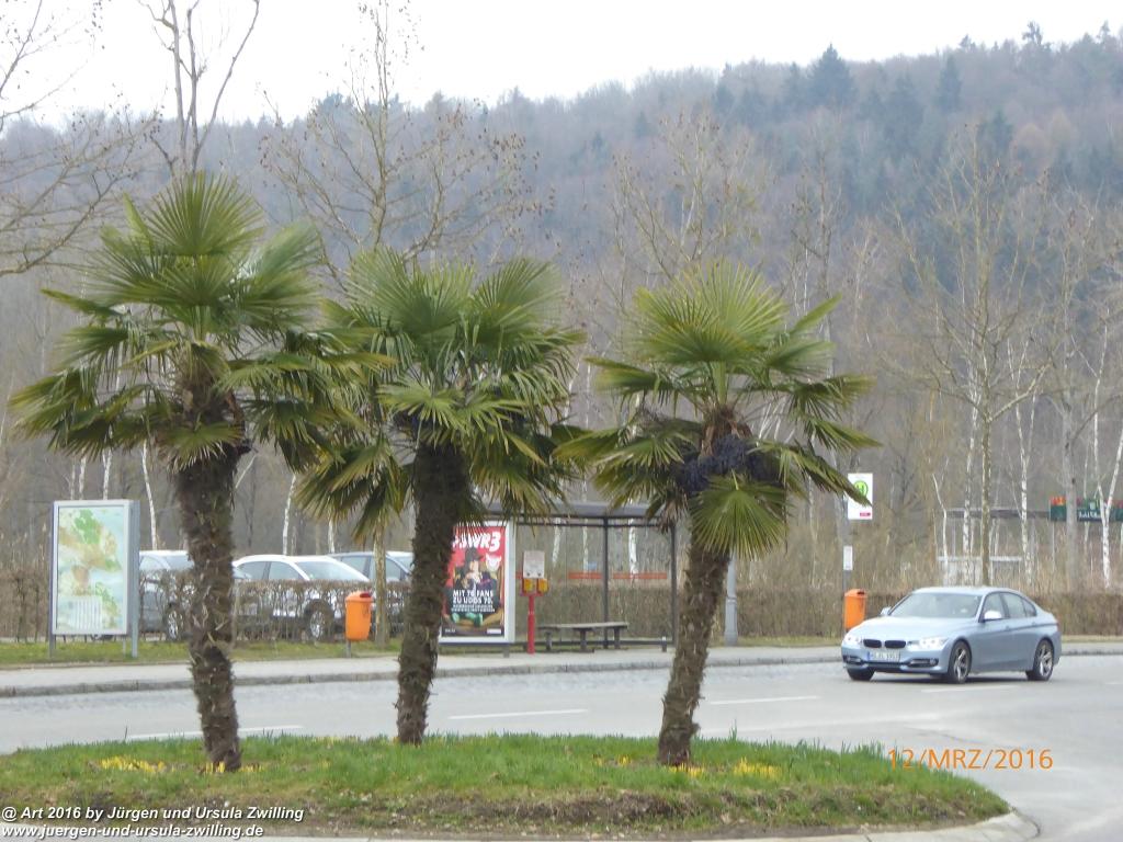 Philosophische Bildwanderung Litzelstetten - Mainau - Litzelstetten -Bodensee