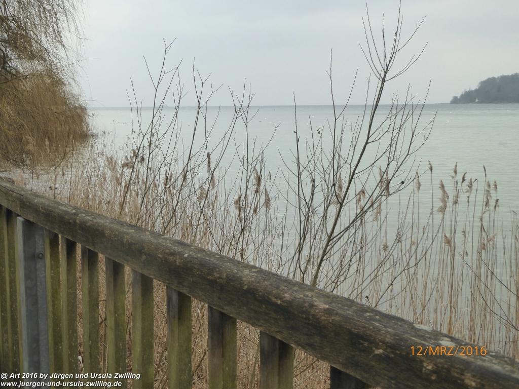 Philosophische Bildwanderung Litzelstetten - Mainau - Litzelstetten -Bodensee