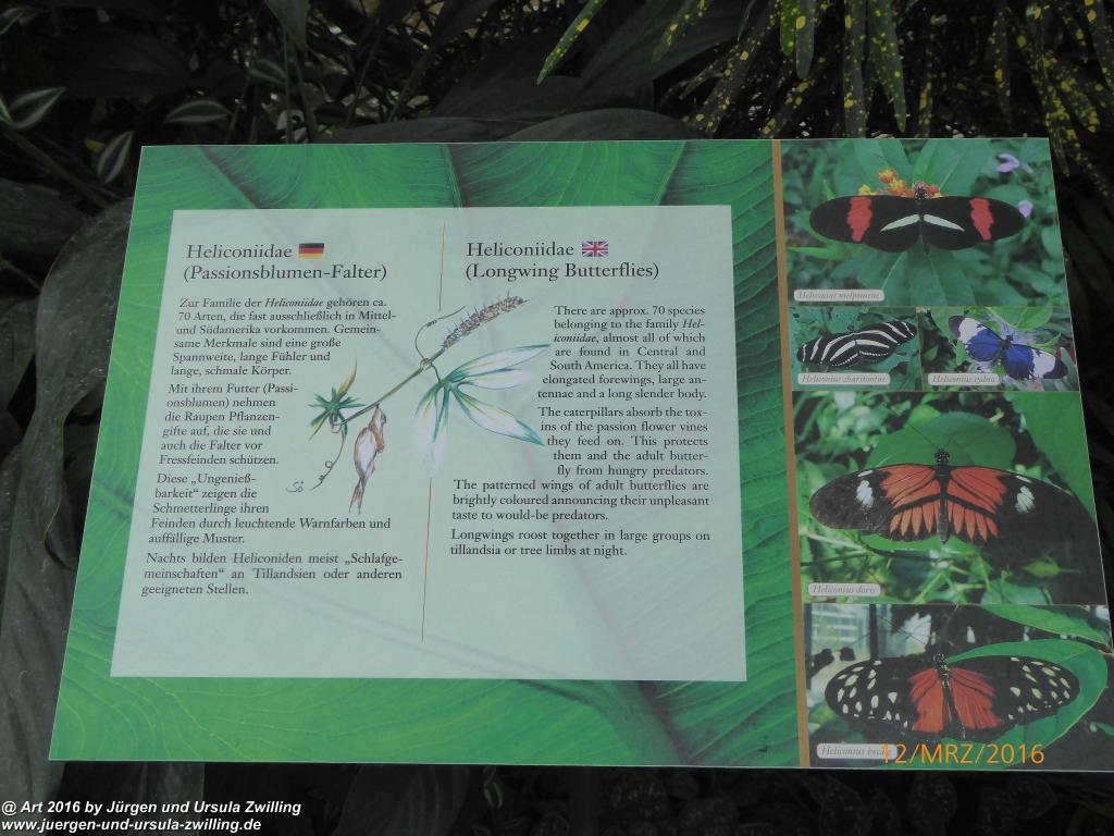 Philosophische Bildwanderung Litzelstetten - Mainau - Litzelstetten -Bodensee