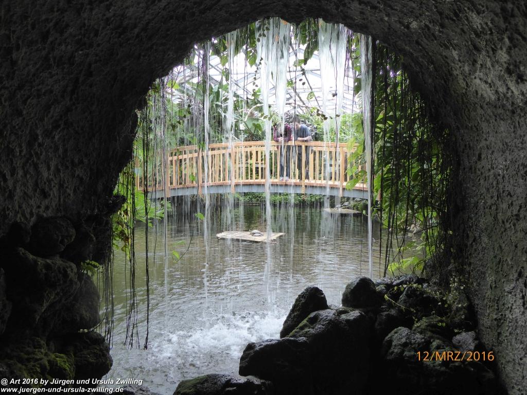 Philosophische Bildwanderung Litzelstetten - Mainau - Litzelstetten -Bodensee