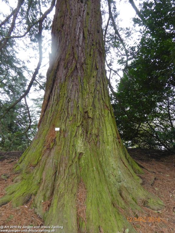 Philosophische Bildwanderung Litzelstetten - Mainau - Litzelstetten -Bodensee