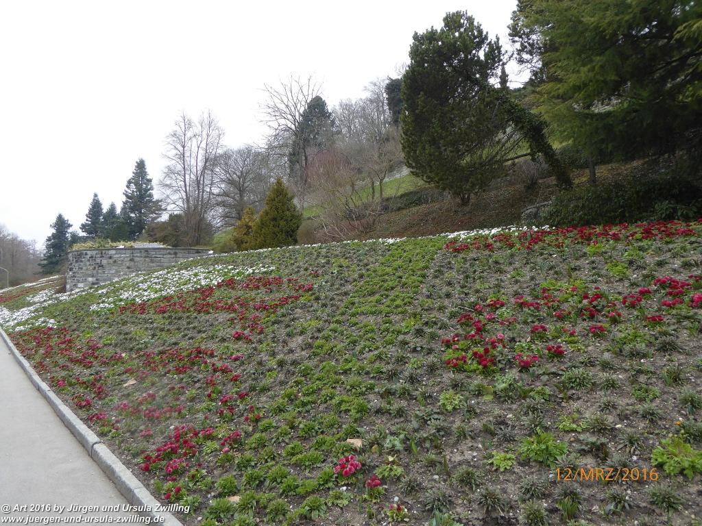Philosophische Bildwanderung Litzelstetten - Mainau - Litzelstetten -Bodensee