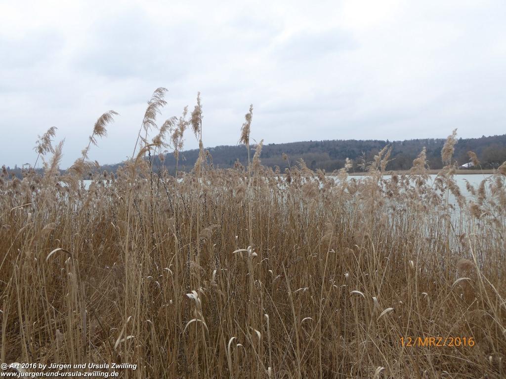 Philosophische Bildwanderung Litzelstetten - Mainau - Litzelstetten -Bodensee