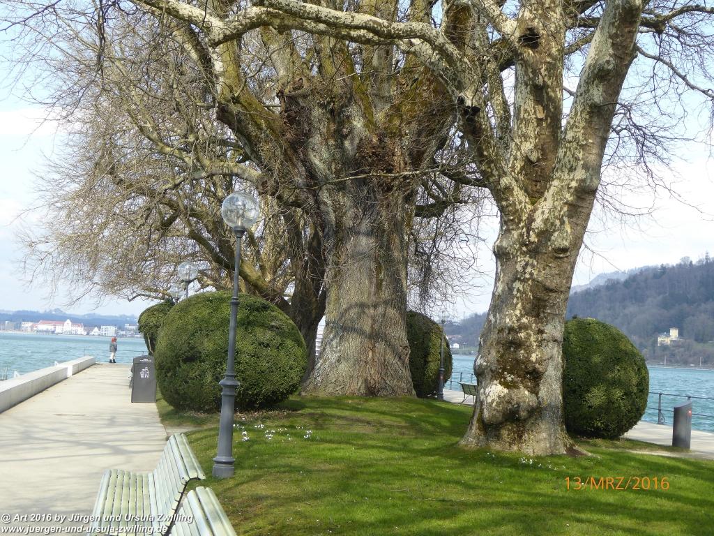 Bregenz -Bodensee - Österreich
