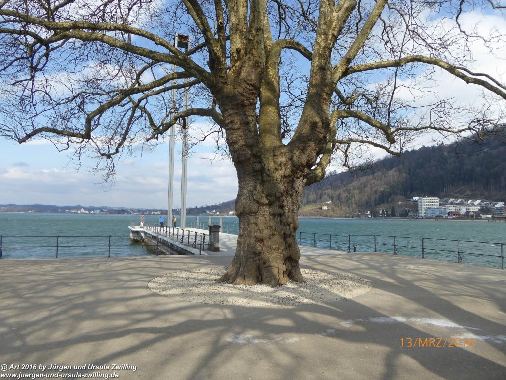 Bregenz -Bodensee - Österreich