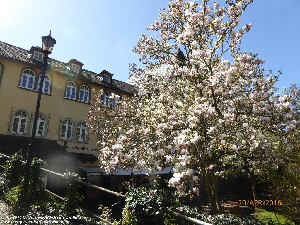 Oberwesel am Rhein - Mittelrhein