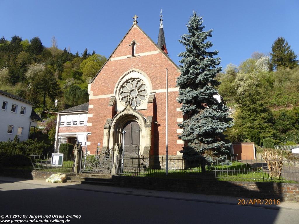 Philosophische Gänse Nachwuchs in Oberwesel am Rhein