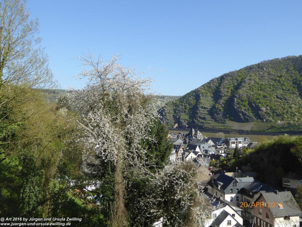 Philosophische Bildwanderung Schwede-Bure-Tour Oberwesel - Rhein