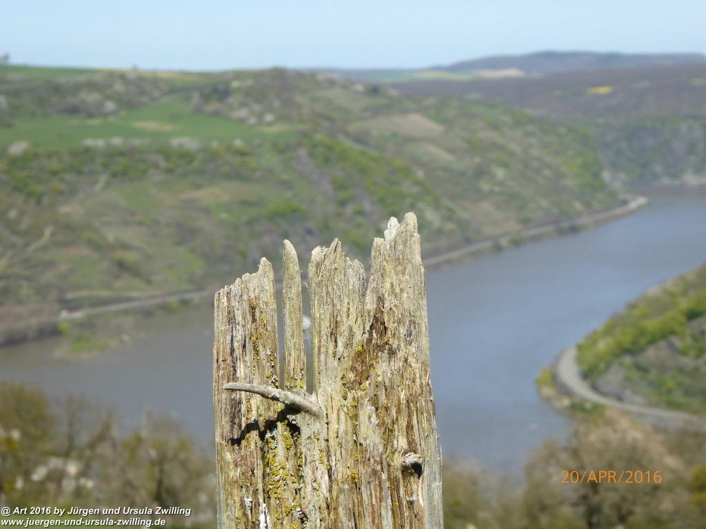 Philosophische Bildwanderung Schwede-Bure-Tour Oberwesel - Rhein