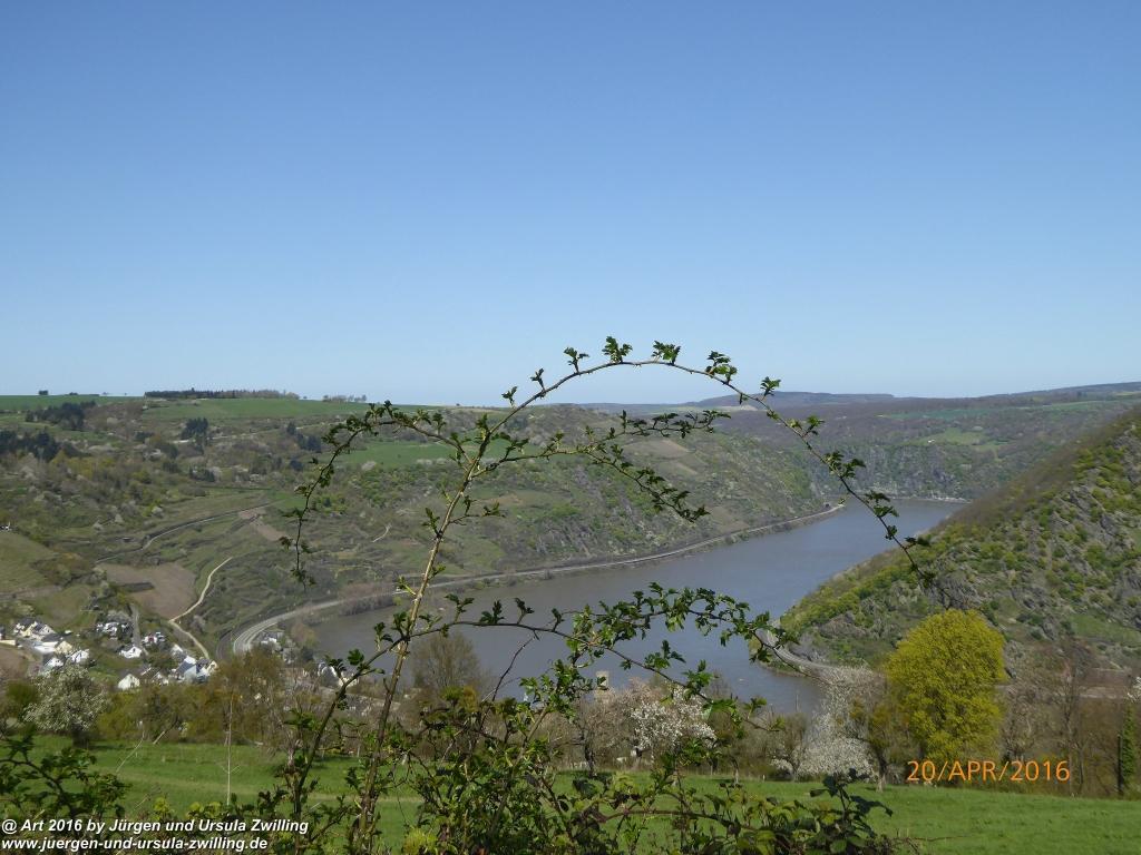Philosophische Bildwanderung Schwede-Bure-Tour Oberwesel - Rhein