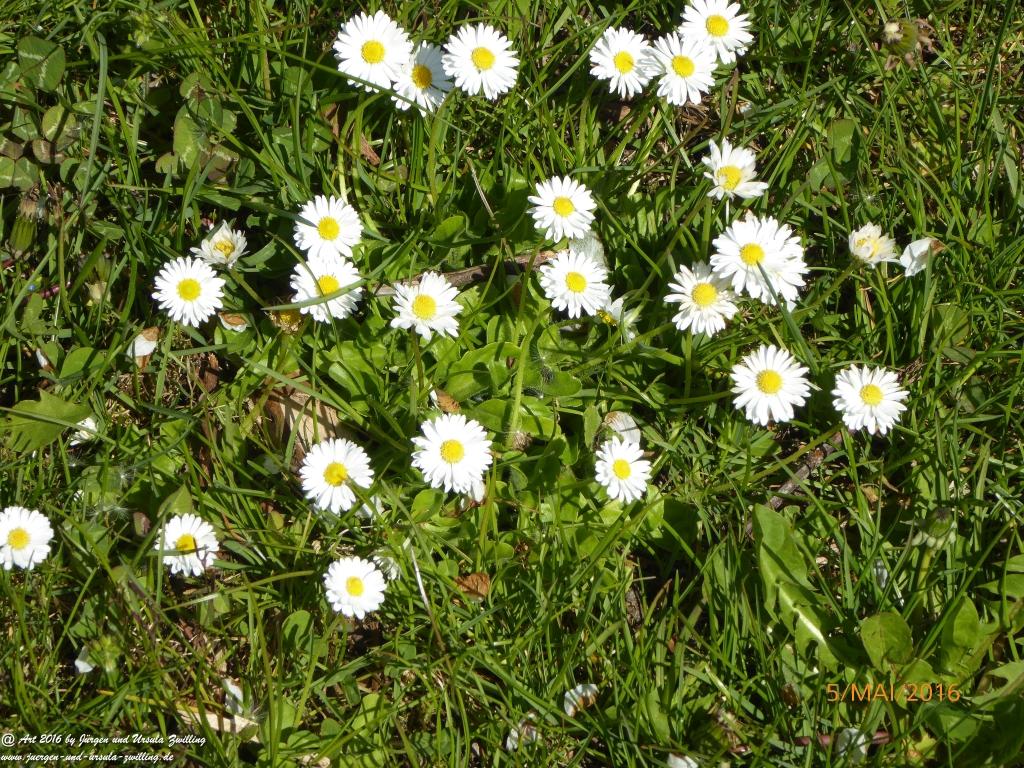 Frühling in Rheinhessen