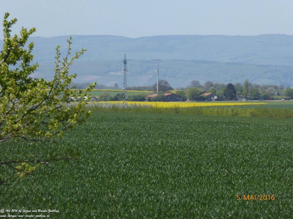 Frühling in Rheinhessen