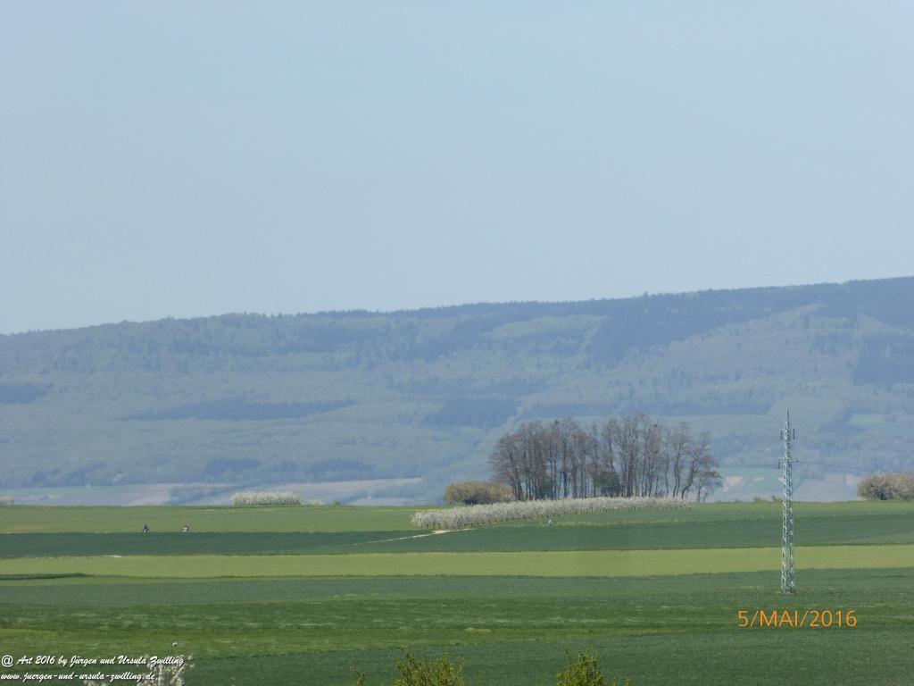 Frühling in Rheinhessen