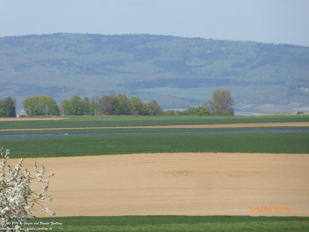 Frühling in Rheinhessen