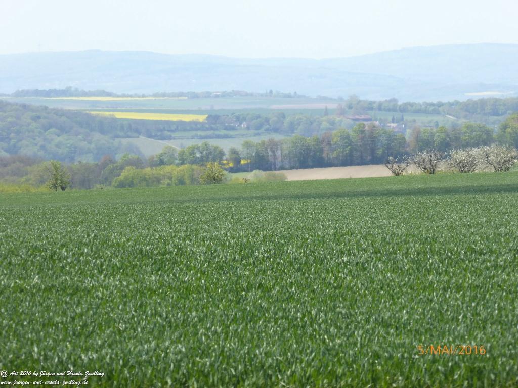 Frühling in Rheinhessen