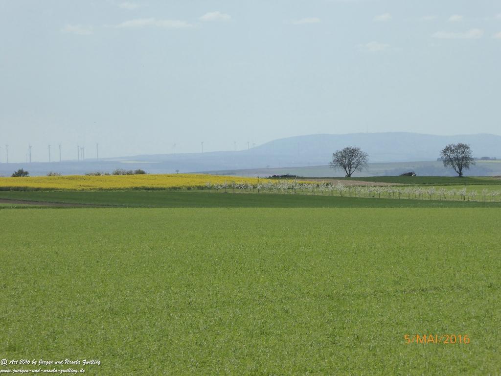 Frühling in Rheinhessen