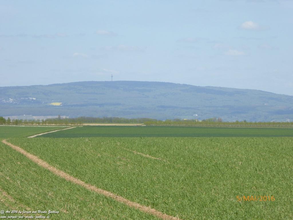 Frühling in Rheinhessen