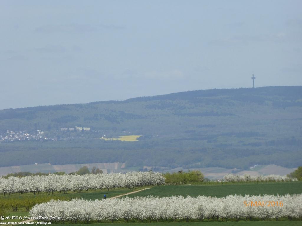Frühling in Rheinhessen