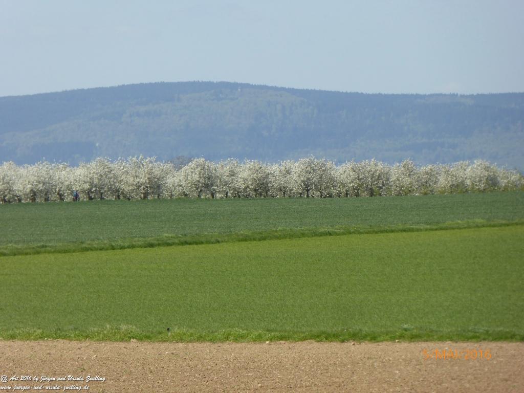 Frühling in Rheinhessen