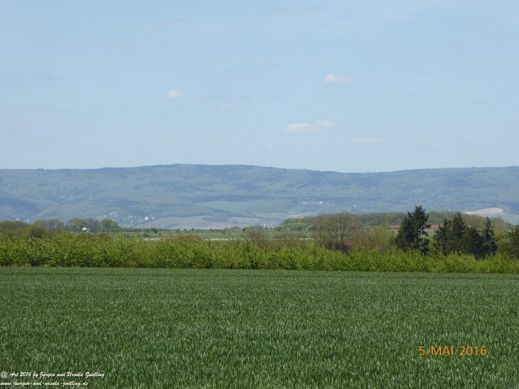 Frühling in Rheinhessen