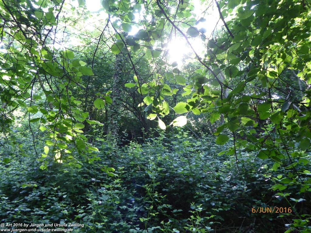 Philosophische Bildwanderung Bensheim Hessentagsweg - Vom Tal zum Hem und uff die Häih - Odenwald