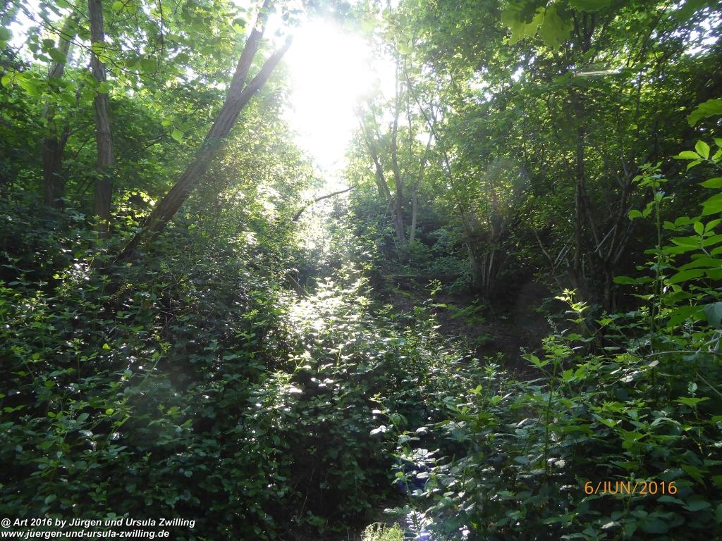 Philosophische Bildwanderung Bensheim Hessentagsweg - Vom Tal zum Hem und uff die Häih - Odenwald