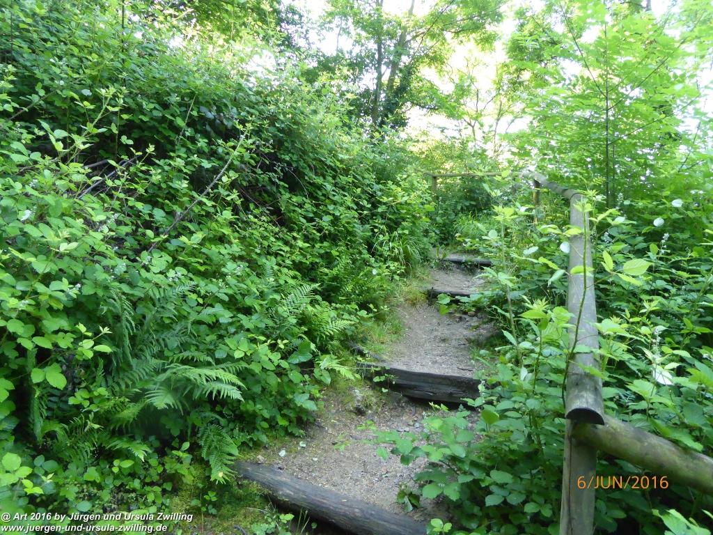 Philosophische Bildwanderung Bensheim Hessentagsweg - Vom Tal zum Hem und uff die Häih - Odenwald