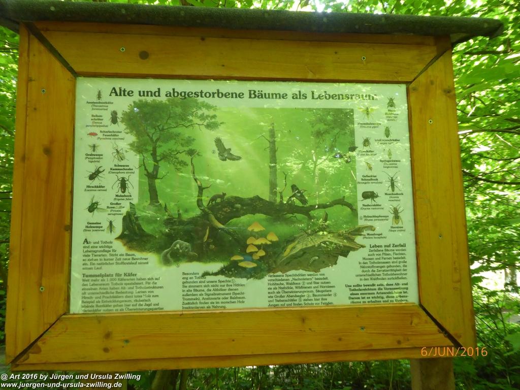 Philosophische Bildwanderung Bensheim Hessentagsweg - Vom Tal zum Hem und uff die Häih - Odenwald