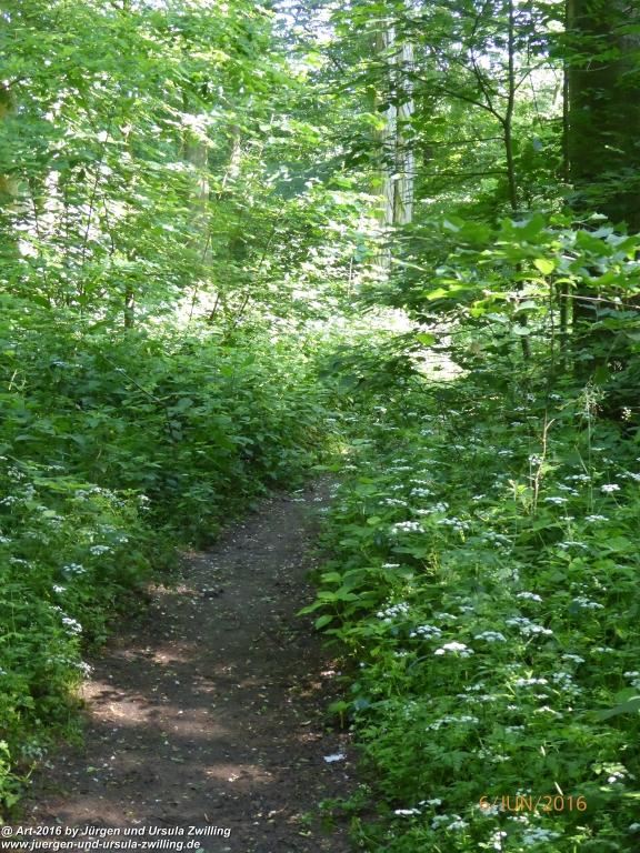 Philosophische Bildwanderung Bensheim Hessentagsweg - Vom Tal zum Hem und uff die Häih - Odenwald