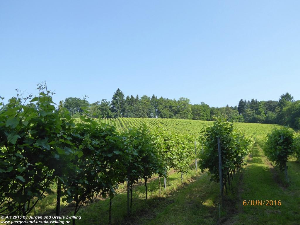 Philosophische Bildwanderung Bensheim Hessentagsweg - Vom Tal zum Hem und uff die Häih - Odenwald
